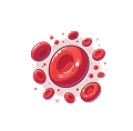 Blood flow & delivery